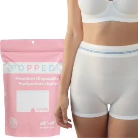 Disposable Postpartum Underwear (5 pack)